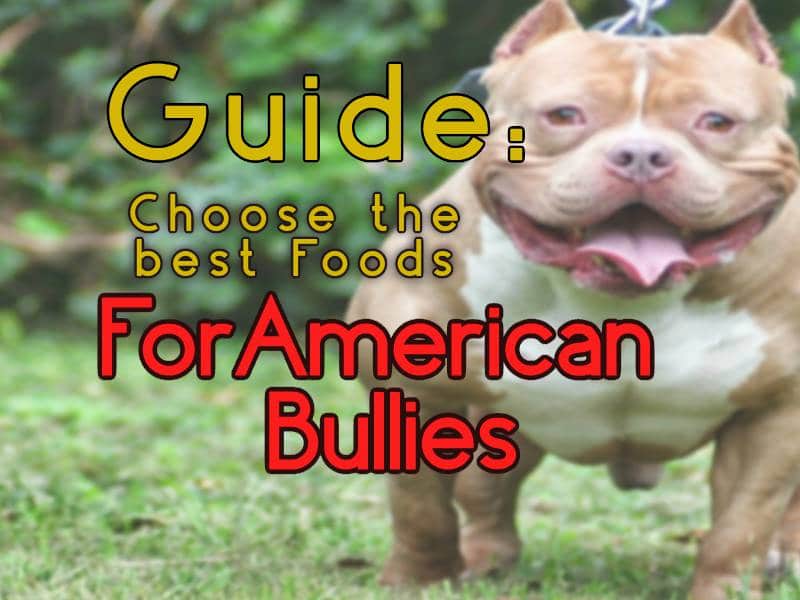 what to feed bully puppies