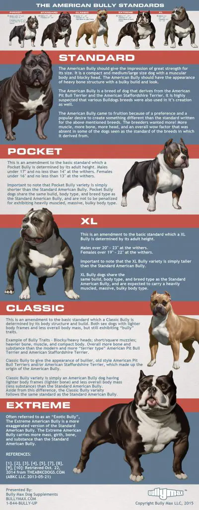 American Bully Puppy Weight Chart