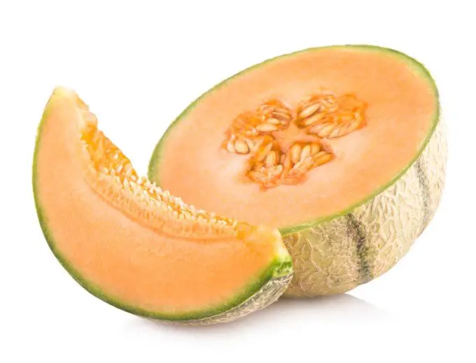 Are Cantaloupe Safe for dogs?