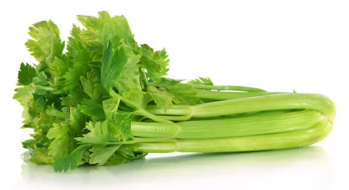 Celery