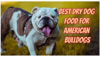Dog Food for American Bulldogs Reviews
