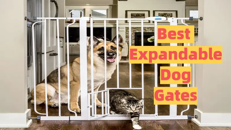 expandable dog gate guide