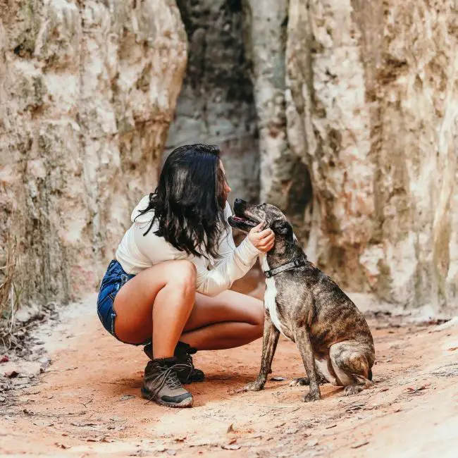 dog and owner on a trail